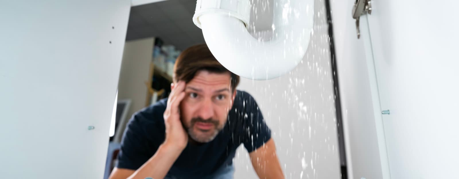 banner title banner alt